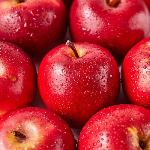 MM 山姆 进口 乐淇苹果 900g 商品图3