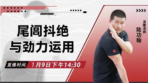 【1月9日 】尾闾抖绝与劲力运用 商品图0