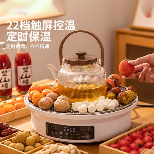 摩登主妇围炉煮茶壶器具全套2025新款烤火炉套装电陶炉茶具养生壶 商品图3