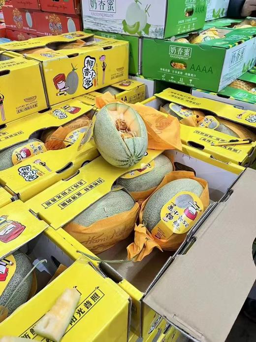 椰香晓蜜瓜一箱 商品图3
