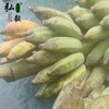 【弘毅六不用生态农场】六不用 芭蕉8.8斤/份 东三省不发 商品缩略图2