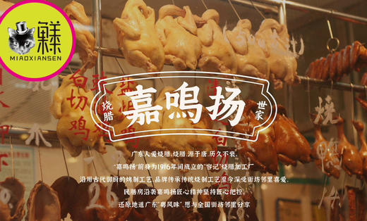 📦妙龄销魂乳鸽系列（6味红烧、豉油黄、烟熏、卤水、原味、盐焗）包邮 商品图6