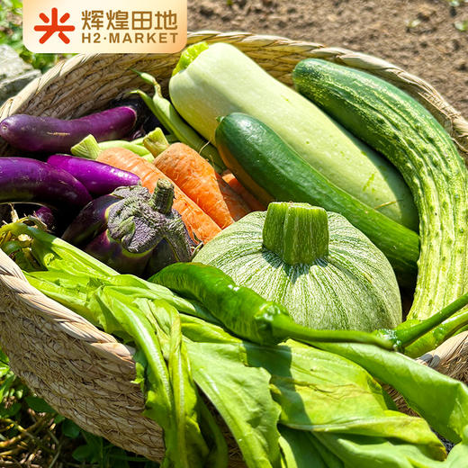 兰菇良应季生态蔬菜盲盒5斤/7斤礼盒装 商品图3