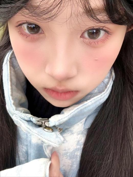 Bollycon 半年抛 流星巴斯克 直径14.5mm着色13.7mm 商品图2