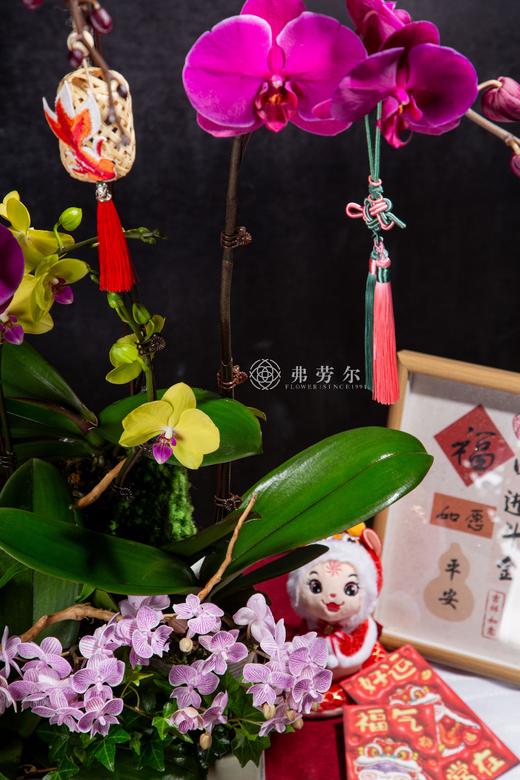 嘉门福喜 商品图1