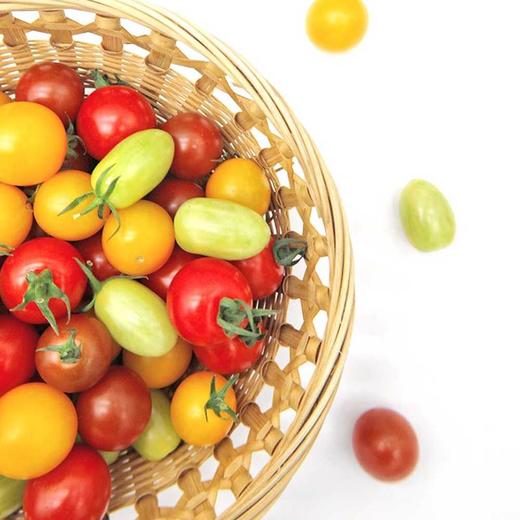 MM 山姆 多彩樱桃番茄 907g 商品图2