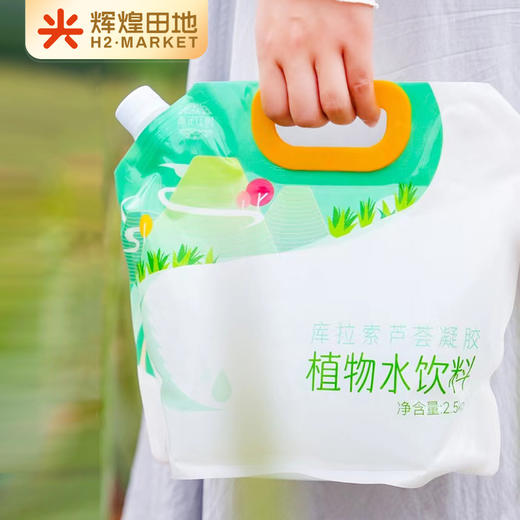 库拉索芦荟凝胶植物水饮料5kg/箱（2.5kg/袋*2） 商品图5