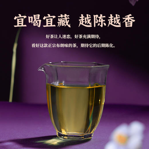 陈升号 2022年布朗印象357g（生茶） 商品图4