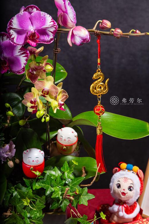 年年有余 商品图2