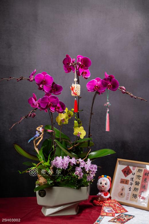 嘉门福喜 商品图0