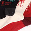 【官方正版】利物浦俱乐部 | 新年红休闲长袜米色黑色袜子 商品缩略图3