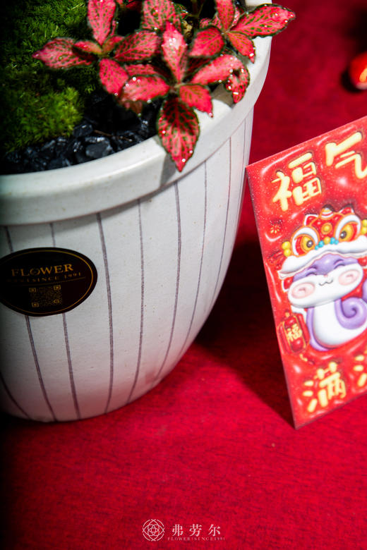 富贵招财 商品图3