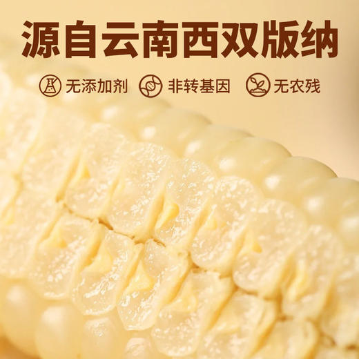 云南西双版纳拇指玉米礼盒1000g 特产新鲜甜糯手指玉米宝宝儿童年货 商品图7