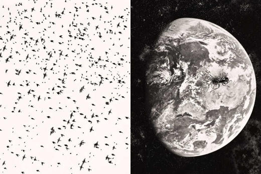 Fernando Maquieira: A Tiny Story / 费尔南多·马奎埃拉：一个小故事 商品图3