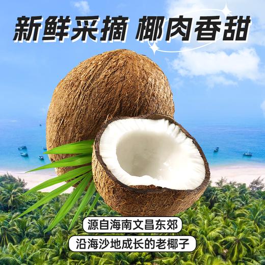 云娃无添加椰子脆块/脆片 商品图5