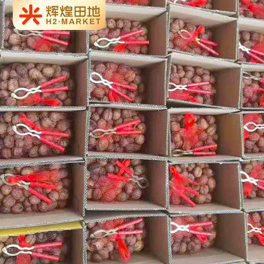 云南生态古树干核桃3斤装/5斤装 商品图3