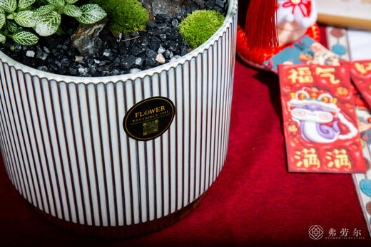 招财进宝 商品图2