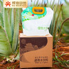 库拉索芦荟凝胶植物水饮料5kg/箱（2.5kg/袋*2） 商品缩略图0