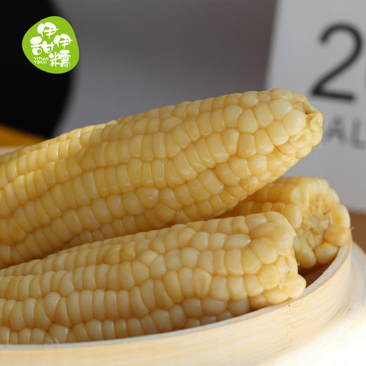 青岛高叶酸甜糯玉米8枚/袋（单枚220g左右） 商品图0