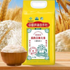 山萃林_吉林圆粒米10斤