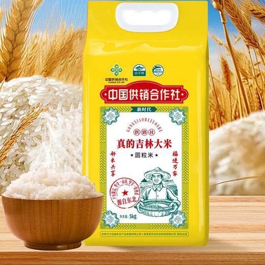 山萃林_吉林圆粒米10斤 商品图0
