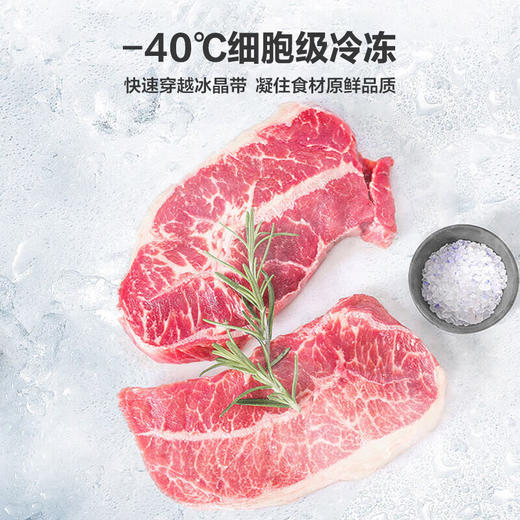 海尔（Haier）【零下40度】立式冰柜风冷无霜超低温抑菌冷藏冷冻切换一级能效抽屉式单门冰箱 【秘境银228升】 228WGHS1U1-智能物联 丨黑金抗菌净化 商品图6