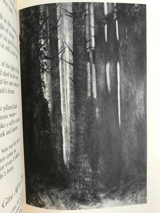 限量版！罗伯特·弗罗斯特诗集 配插图 豪华皮装18开 商品图11