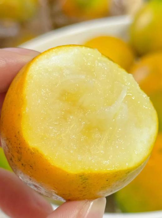 大凉山脆蜜金柑 自然农法 核心产区 皮薄嫩甜 纯甜无籽 好吃惊艳 不催熟不抛光不打蜡I百里食 商品图0