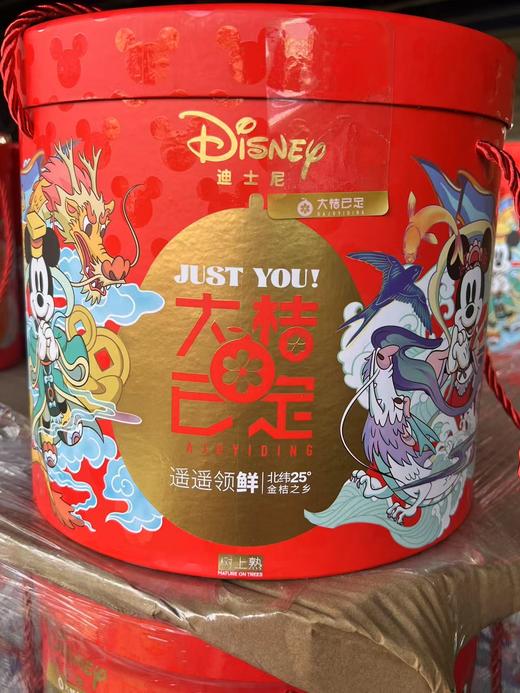 大桔已定脆蜜金柑（4.8-5斤装） 商品图0