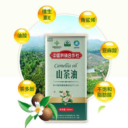 山萃林_山茶油500ml 商品图4