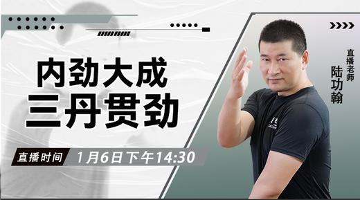 【1月6日】内劲大成——三丹贯劲 商品图0