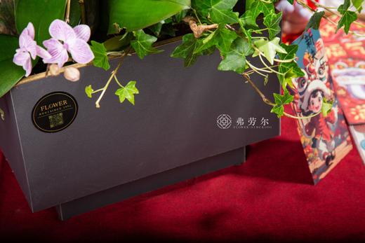 年年有余 商品图1