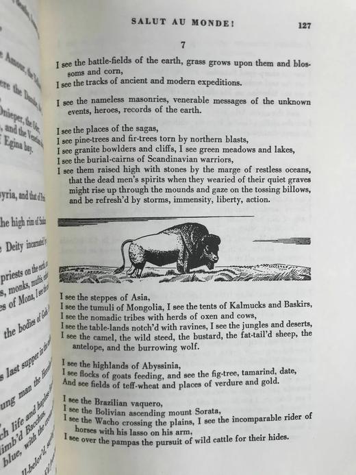 惠特曼《草叶集》 数十幅插图 豪华皮装18开 商品图7