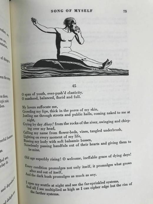 惠特曼《草叶集》 数十幅插图 豪华皮装18开 商品图14