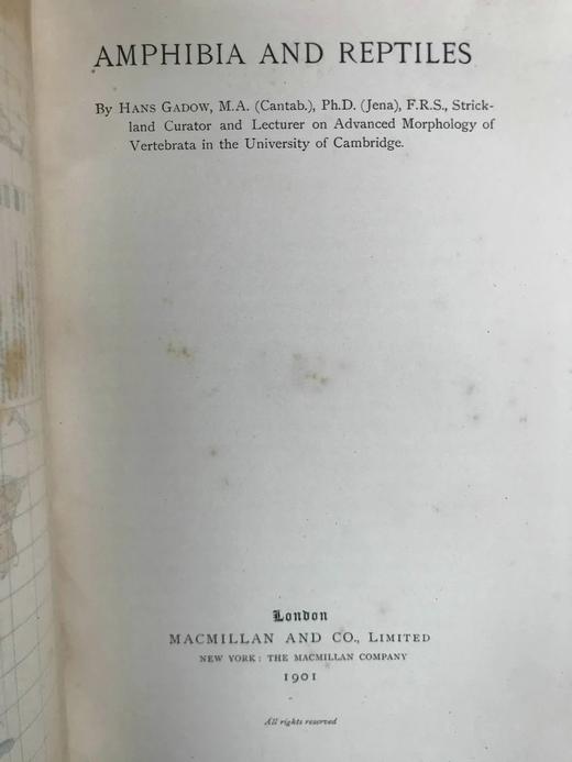 1901年 两栖与爬行动物图鉴 181幅插图 漆布精装大32开 商品图2
