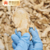 葆易圣有机当归140g/罐 商品缩略图3
