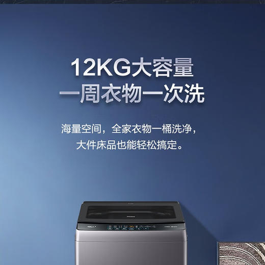 海尔12kg大容量 波轮洗衣机 直驱变频 强效漩瀑洗 洗净比可达1.1 EB120B53Pro3 商品图1