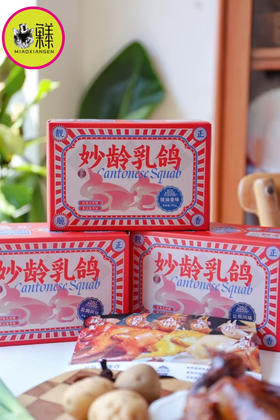 📦妙龄销魂乳鸽系列（6味红烧、豉油黄、烟熏、卤水、原味、盐焗）包邮