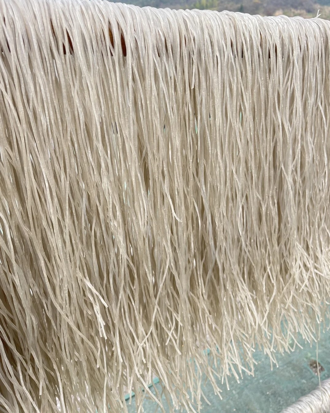 鸿翠园   有机地瓜粉条