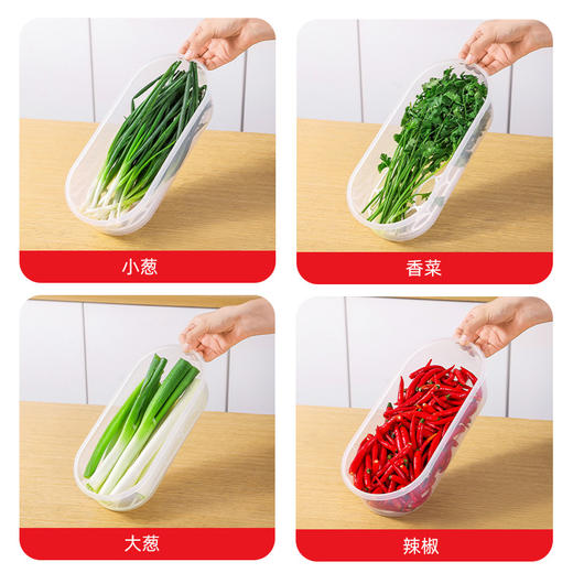 摩登主妇葱姜蒜收纳盒冰箱食品级小葱香菜保鲜蔬菜水果食物分装盒 商品图3
