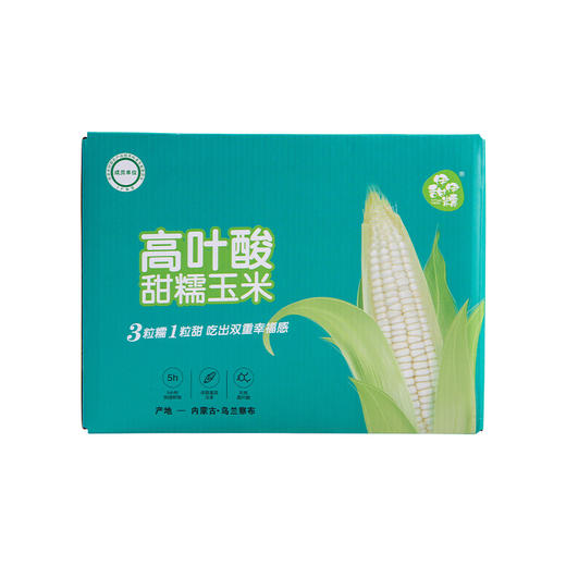 青岛高叶酸甜糯玉米8枚/袋（单枚220g左右） 商品图9