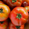 生态草莓西红柿 | 绿家自产*Ecological tomato | In-House Production 商品缩略图0