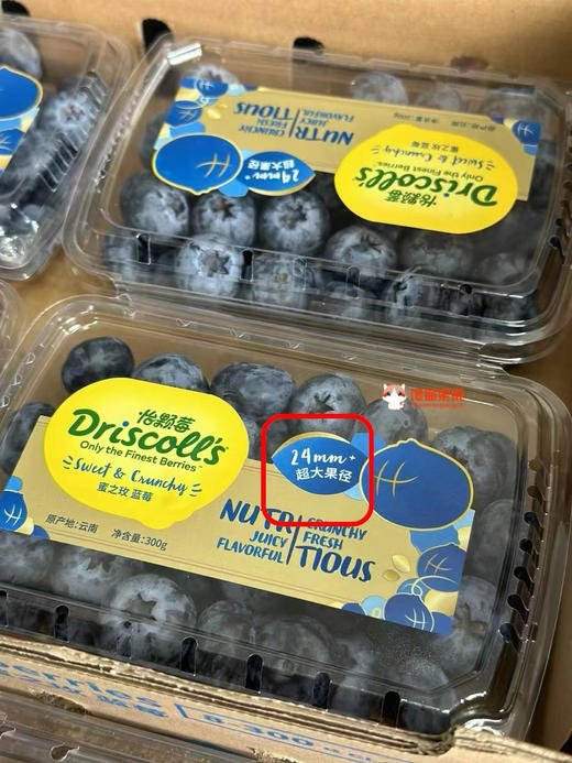 超大！更脆！Driscolls'小钻石蓝莓，22cm+，ji品！尊贵彰显气质款，每一颗都带着淡淡兰花清香！ 商品图3