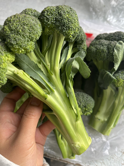 我是你的新宝贝，好入味的全能甜杆西蓝花—米修斯，❌我不是你们常见的普通西蓝花，❌也不是娇贵苗条的西兰苔，本质上是纯种西蓝花
只是我更挺拔，更细腻，更脆甜，瘦身主义者们的显眼包！2斤/份 商品图0