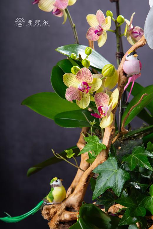 喜事连连 商品图3