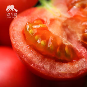 生态草莓西红柿（广州） | 合作生产*Ecological tomato | Partner Production