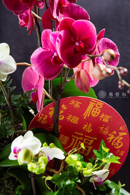 花开富贵 商品图1