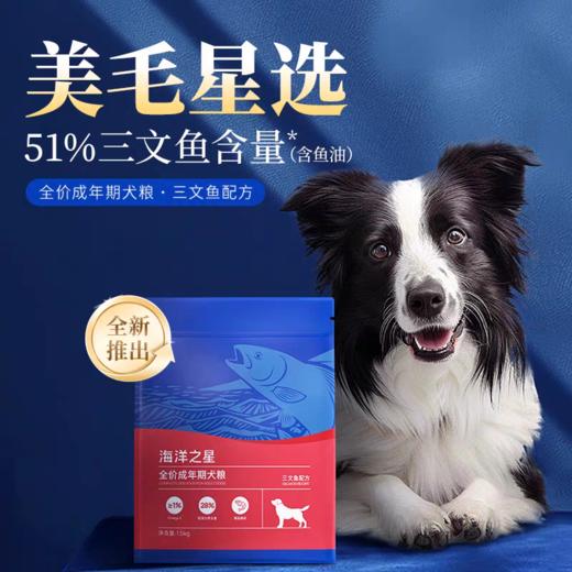 海洋之星狗粮三文鱼深海鱼无谷成犬粮小型大型犬金毛狗粮10kg通用型 商品图0