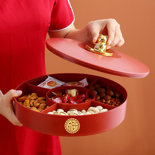 果盘家用客厅茶几水果盘糖果盒干果盒过年零食摆盘收纳盒 商品图1