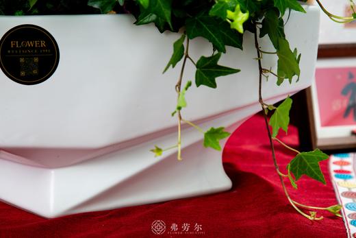 喜至庆来 商品图3